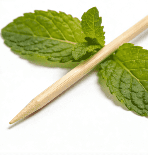 Mint Toothpick