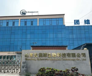 dental floss manufacturers